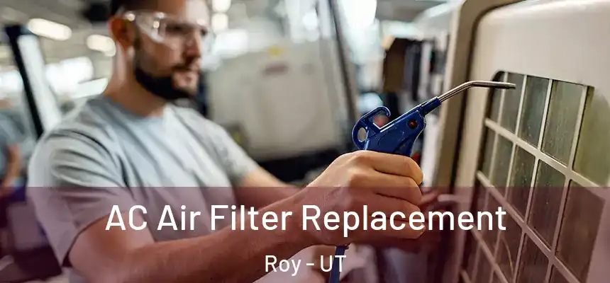 AC Air Filter Replacement Roy - UT