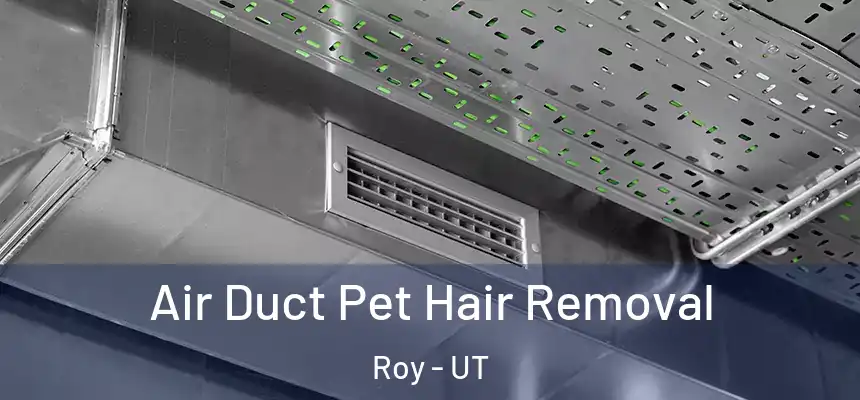 Air Duct Pet Hair Removal Roy - UT