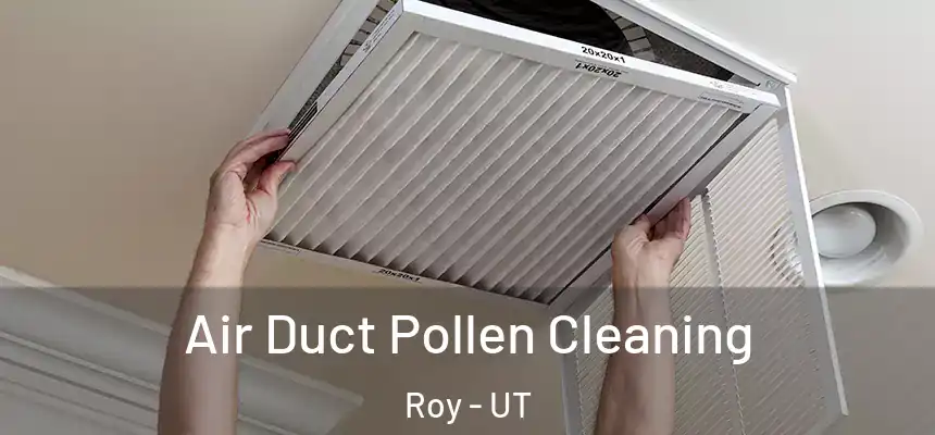  Air Duct Pollen Cleaning Roy - UT