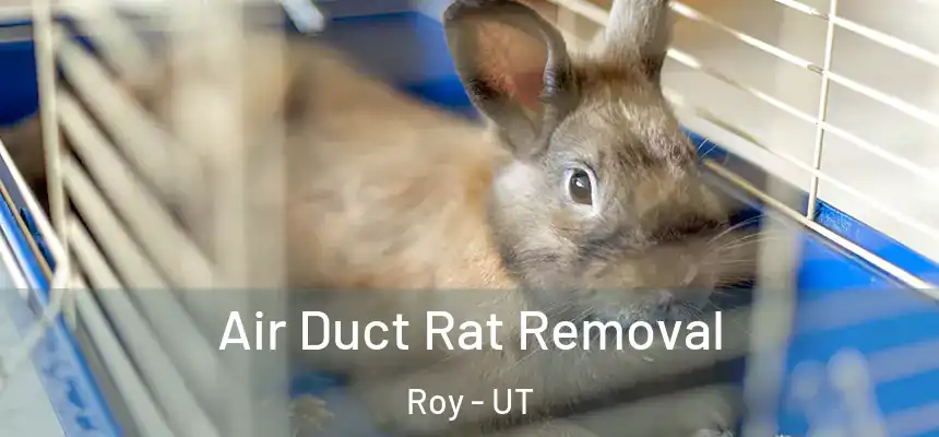  Air Duct Rat Removal Roy - UT
