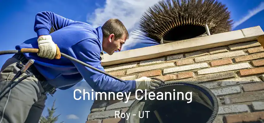 Chimney Cleaning Roy - UT