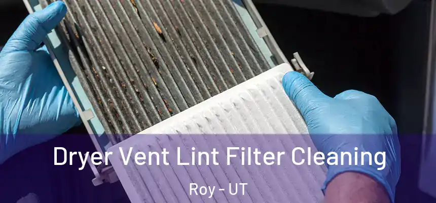  Dryer Vent Lint Filter Cleaning Roy - UT