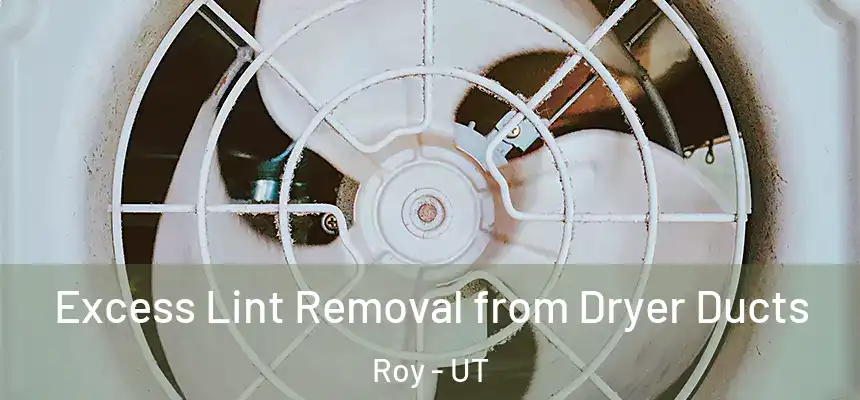 Excess Lint Removal from Dryer Ducts Roy - UT