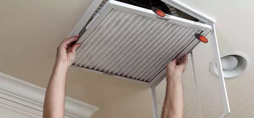 Preventive Cockroach-Proofing for Ducts in Roy