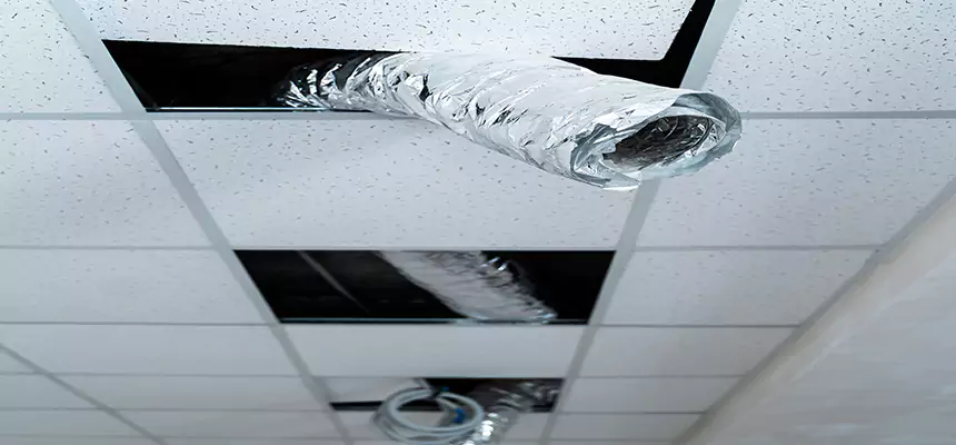 Affordable HVAC Sanitizing After Pest Removal in Roy