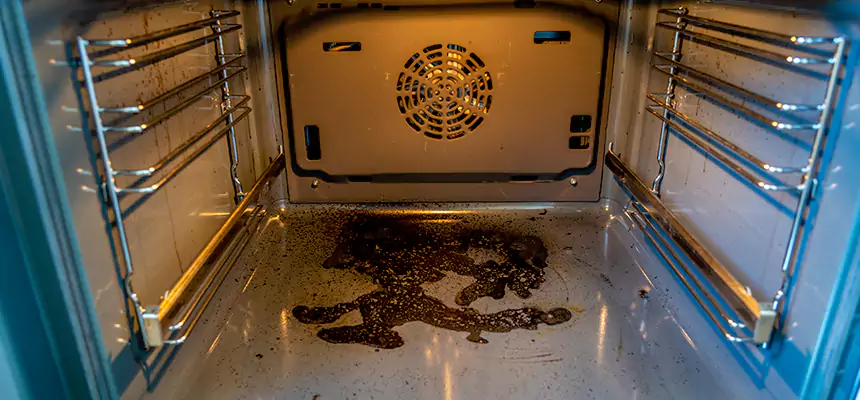 Our Dryer Vent Mold Cleaning Services in Roy, UT