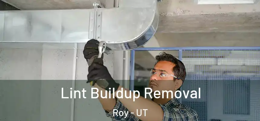 Lint Buildup Removal Roy - UT