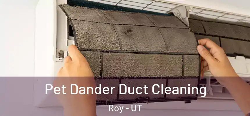  Pet Dander Duct Cleaning Roy - UT