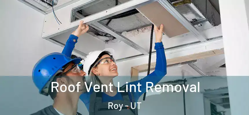 Roof Vent Lint Removal Roy - UT