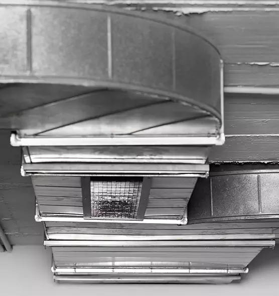 Professional Air Duct Pest Removal in Roy, UT