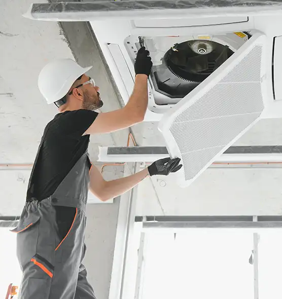 About Air Duct Rodent Removal in Roy, UT