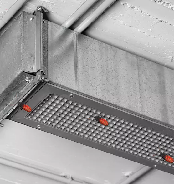 Affordable Insect Removal from Air Ducts in Roy, UT