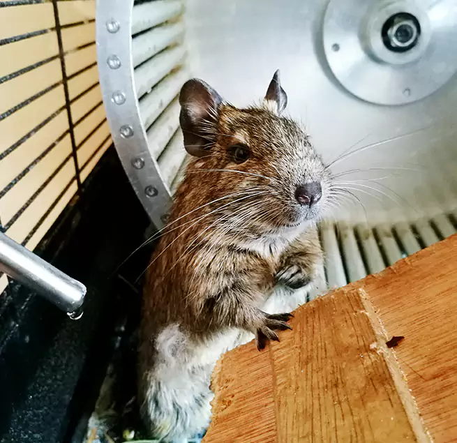 Why Homeowners & Businesses Trust Us Roy, UT?