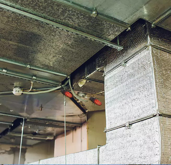 Why Homeowners & Businesses Trust Us Roy, UT?