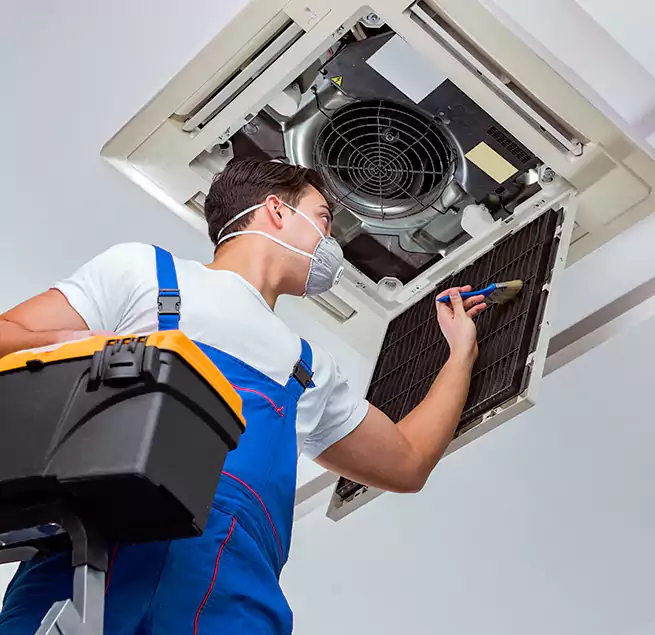 Why Homeowners & Businesses Trust Us in Roy, UT?